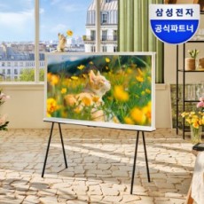 삼성 세리프 163cm(65인치) QLED